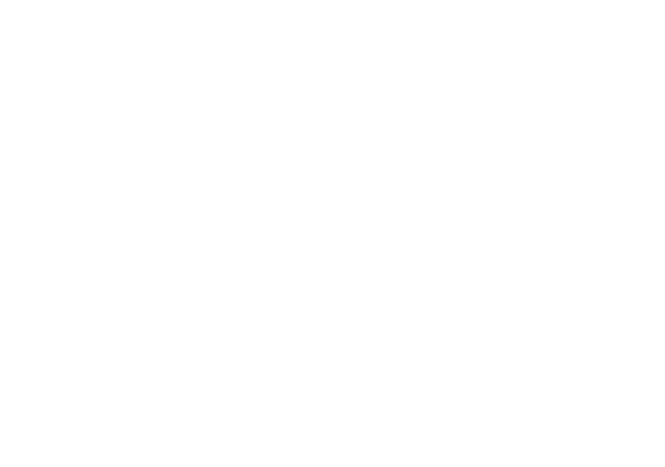 Elda Sintéticos